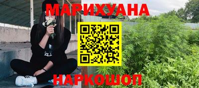 spice Кингисепп