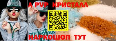 spice Кингисепп