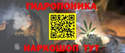 spice Кингисепп