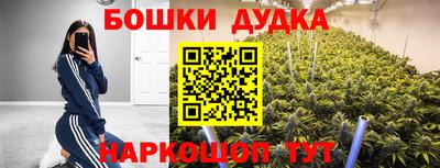 spice Кингисепп