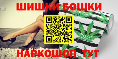 spice Кингисепп