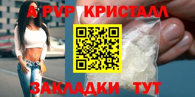 spice Кингисепп
