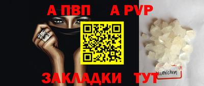 spice Кингисепп