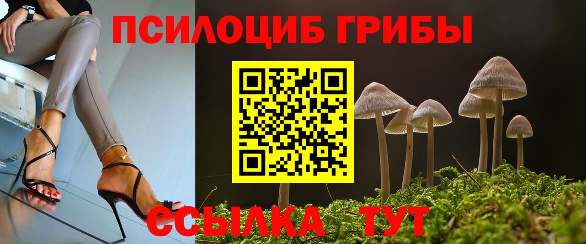 Галлюциногенные грибы Cubensis  Вход с VPN  Волгодонск 